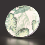 7748/DL PALE SN 125 Светильник светодиодный потолочный пластик/белый/зеленый LED 48Вт 3000-6000К D380 IP43 пульт ДУ FLORI