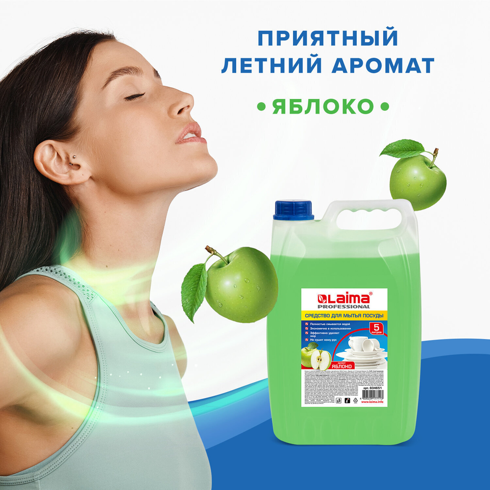 Средство для мытья посуды 5 л LAIMA PROFESSIONAL концентрат "Яблоко" (4 штуки в упаковке)