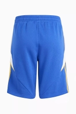 Шорты adidas Pitch 2 Street Messi Junior