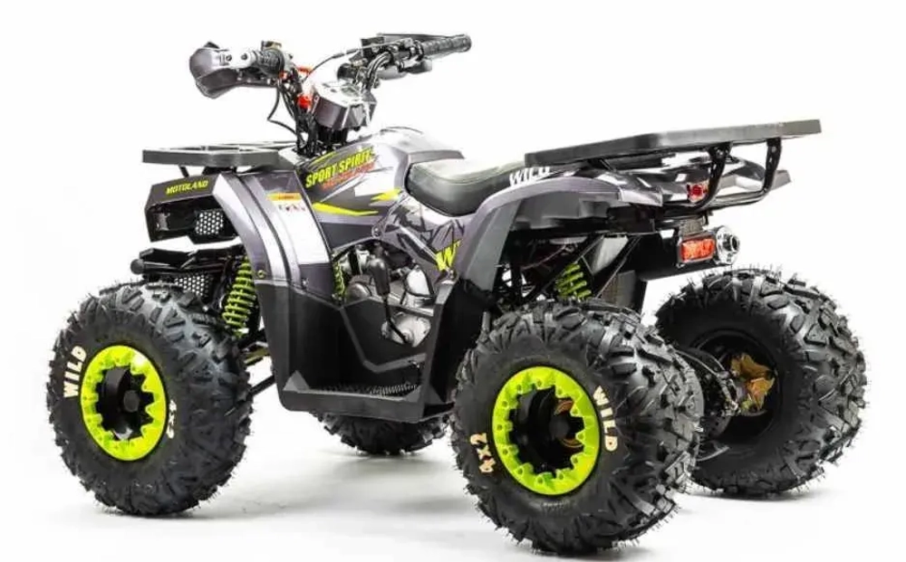 Квадроцикл Motoland 125 WILD (2020 г.)