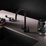 Смеситель для кухни с С-изливом с каналом для питьевой воды, черный AM.PM X-Joy S F85B07722