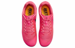 Кроссовки Nike Zoom Rival Multi