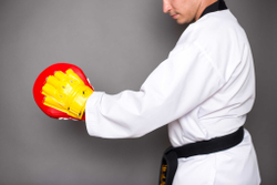 Лапа тренерская ProfSport для Тхэквондо