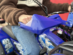 Квадроцикл PROMAX ATV 250 MAX (2025)