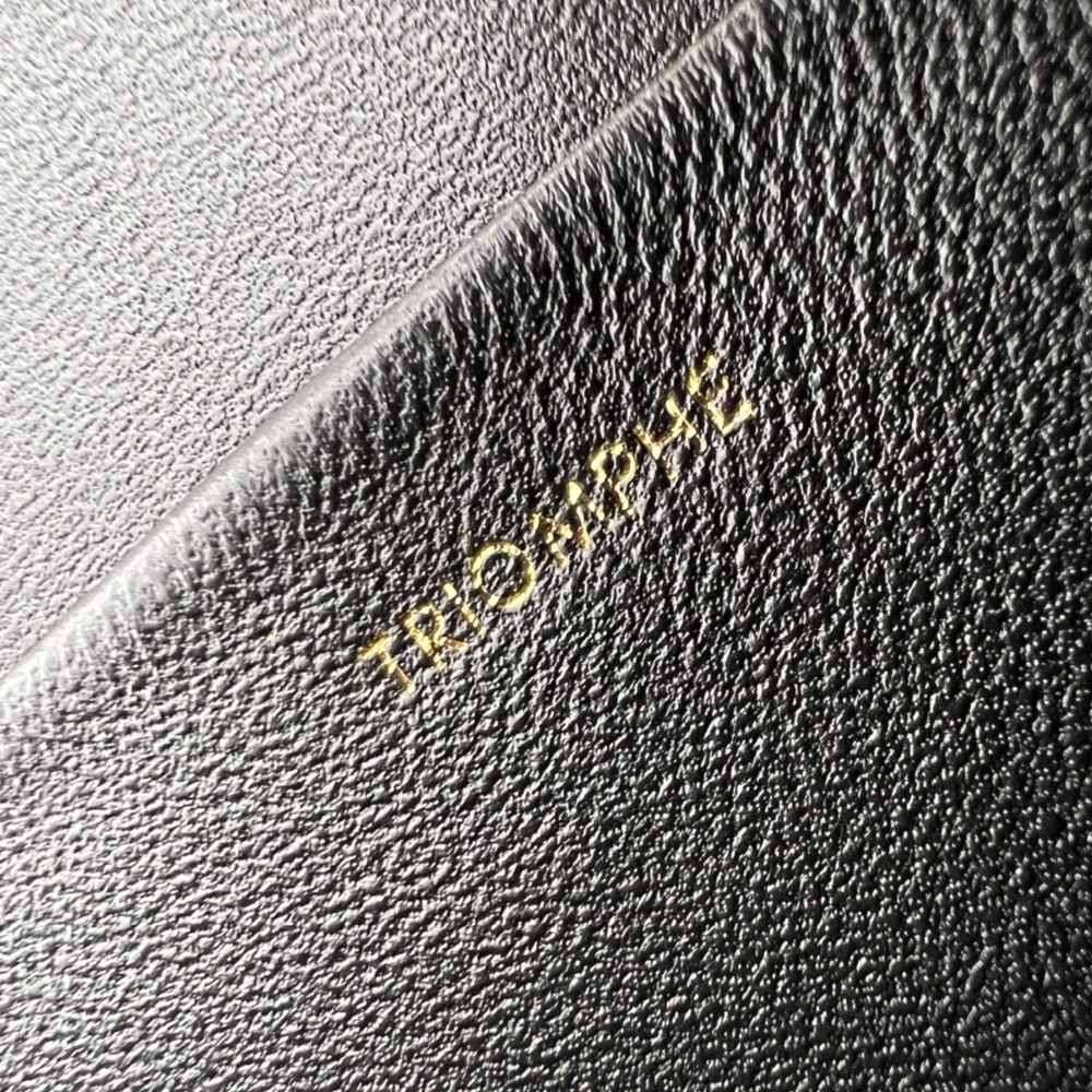 Celine Triomphe Bag 22 cm