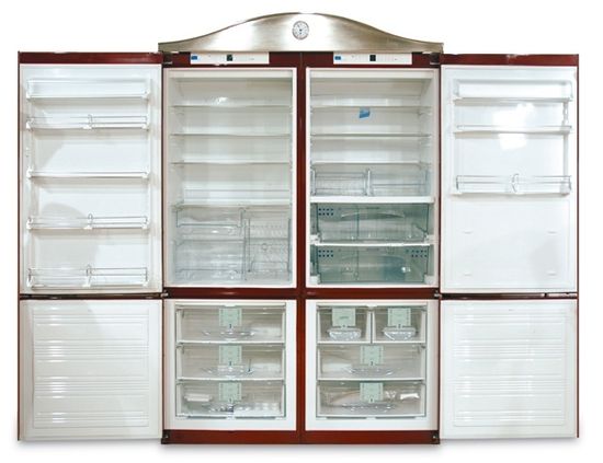 Холодильник Renova FRR020