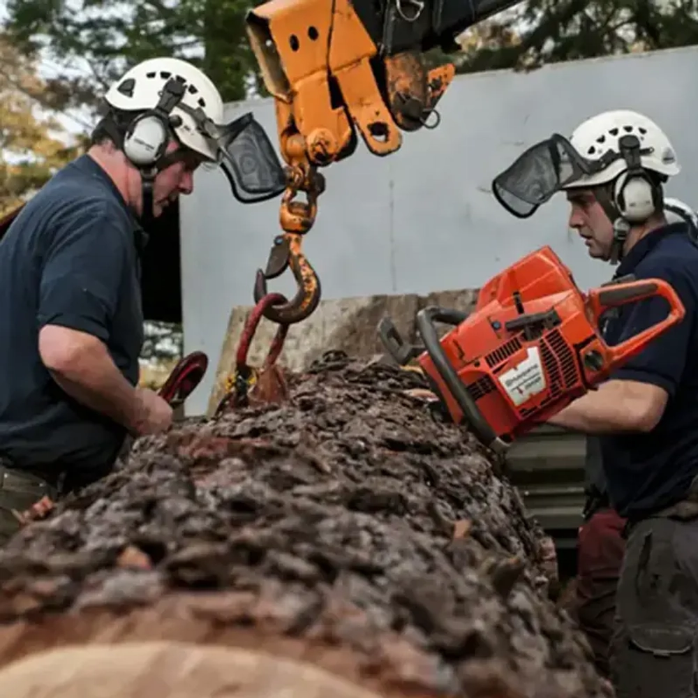 Бензопила Husqvarna 572 XP, 9667331-18