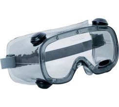 Закрытые защитные очки Delta Plus RUIZ1 с прозрачной линзой RUIZ1VI