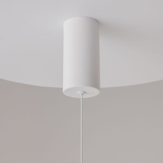 Подвесной светильник Maytoni Ray P022PL-L20W3K