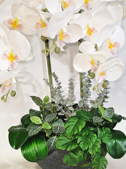 Искусственные орхидеи белые люкс 5 веток в кашпо Лофт