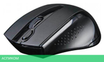 Мышь A4Tech V-Track черный (G9-500FS)