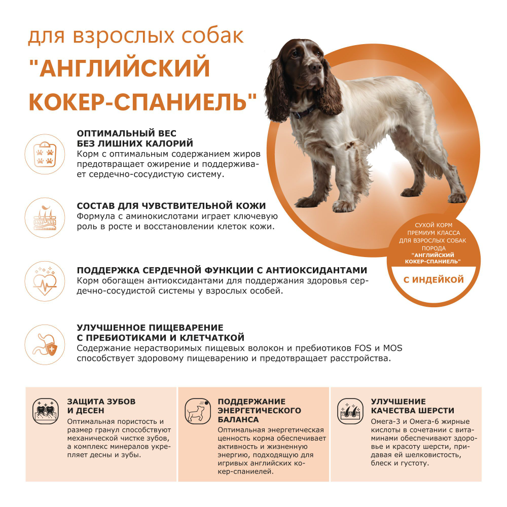 Корм сухой для взрослых собак породы Английский кокер-спаниель, премиум полнорационный комплекс, с индейкой, 12 кг, QUATTRO