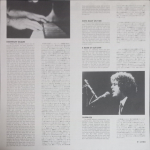 Billy Joel / The Nylon Curtain (LP)
