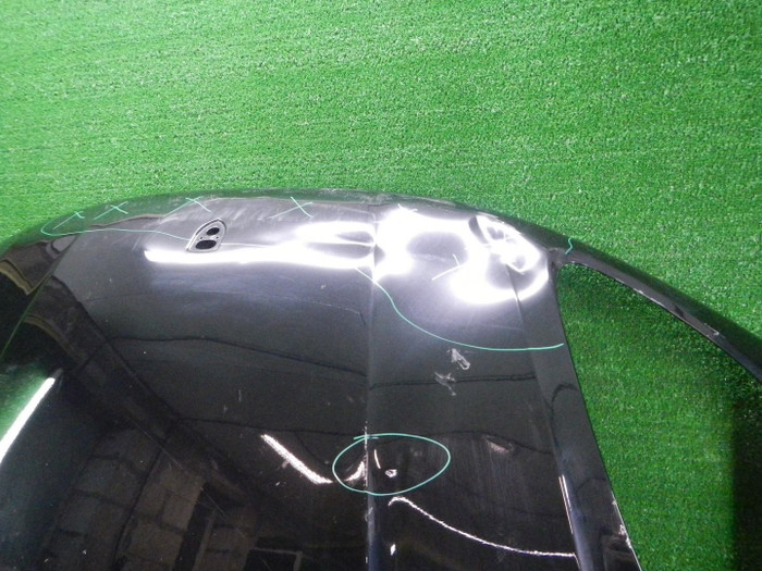 DSCN9648.JPG