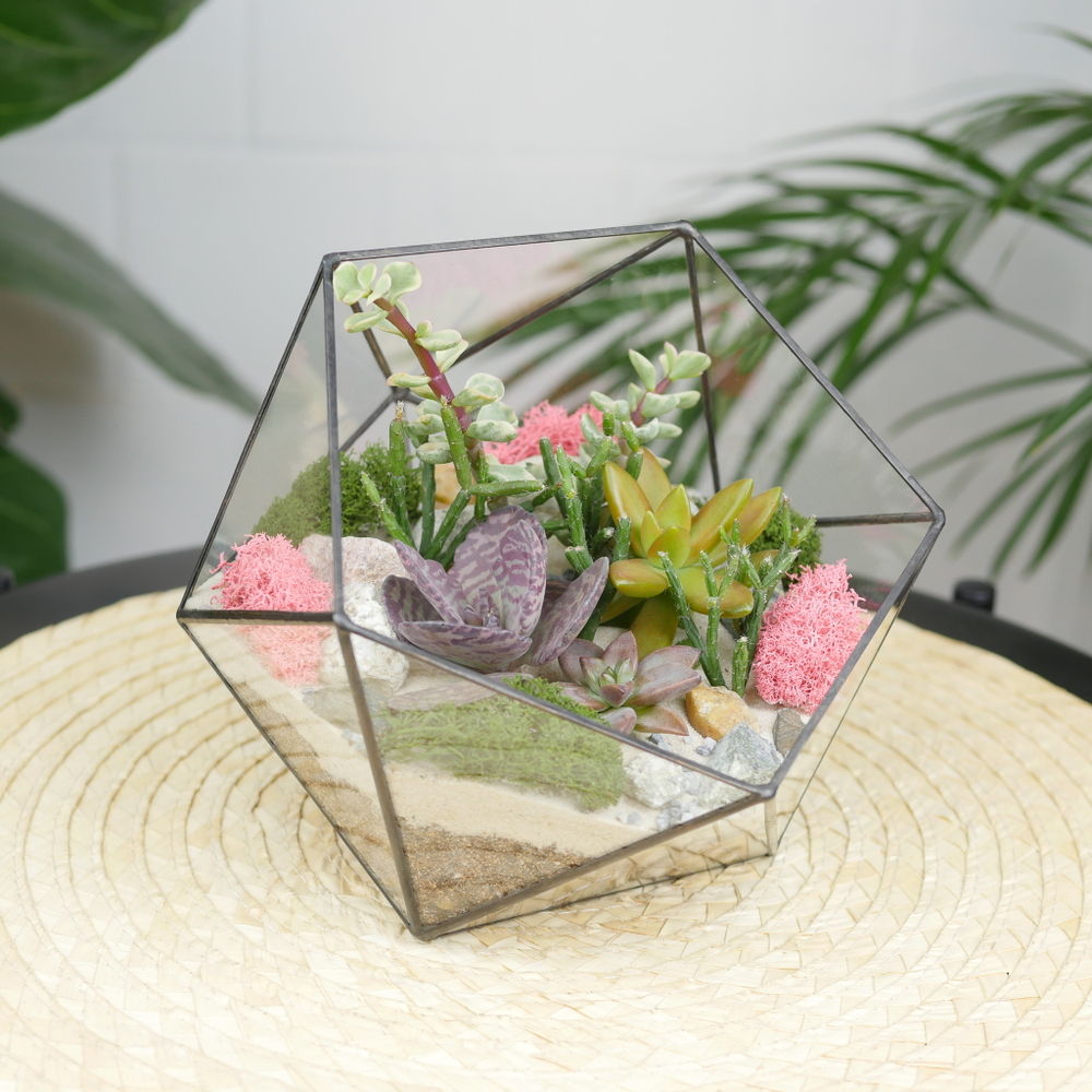Готовый флорариум с суккулентами Икос S