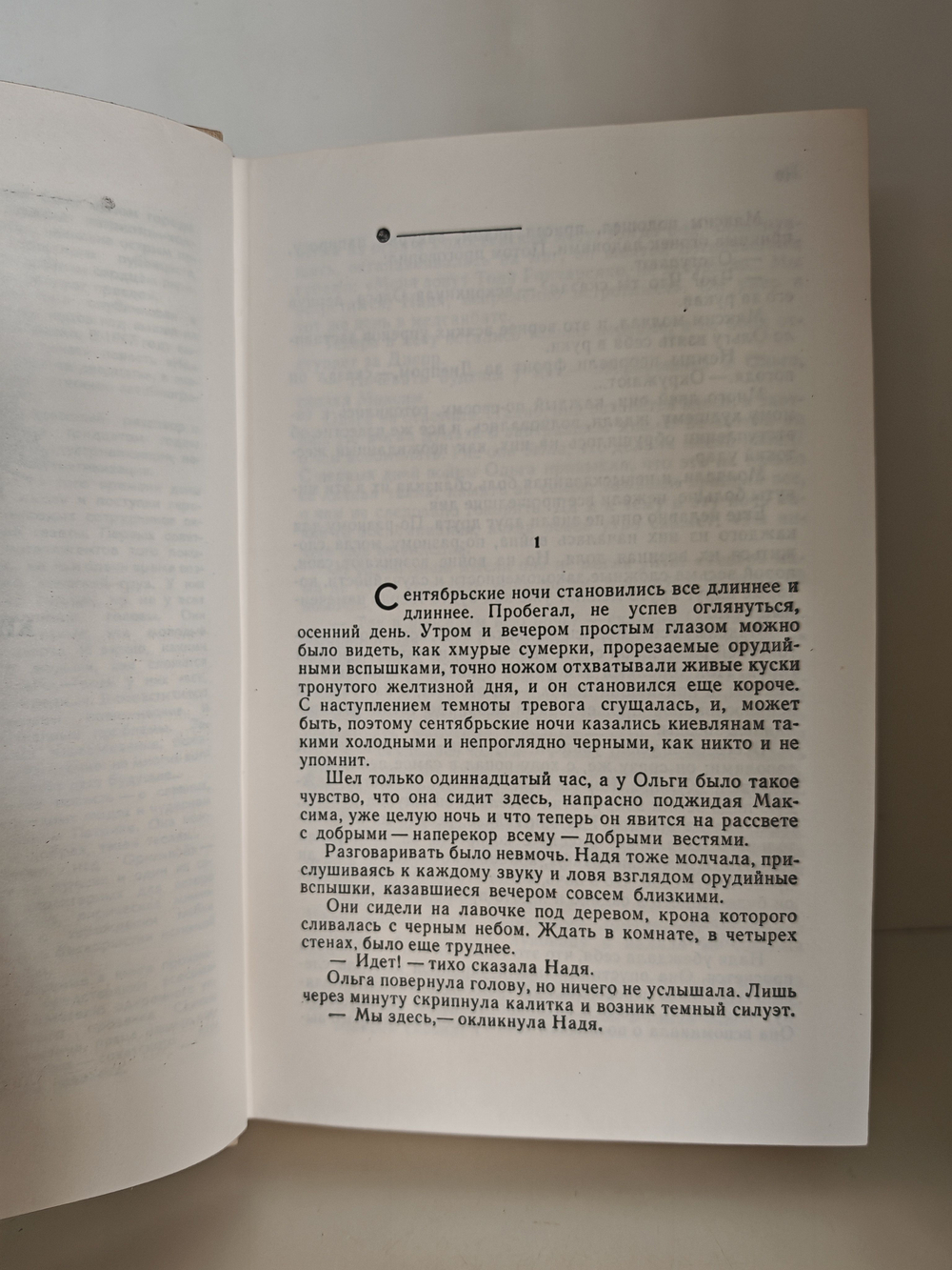 Киевские ночи