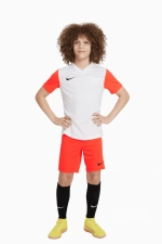 Футболка Nike Dry Tiempo Premier II Junior - белый