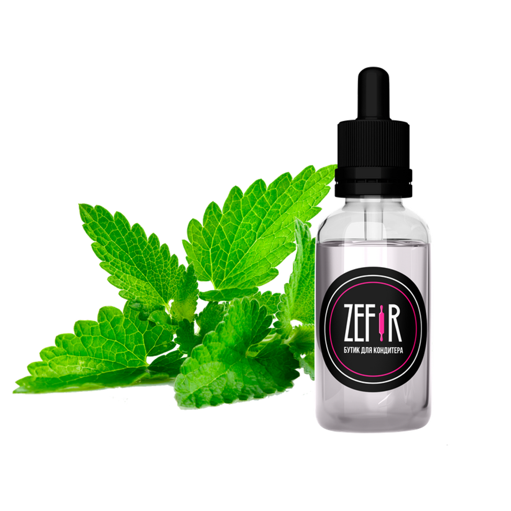 Ароматизатор Мята (Spearmint) 20гр