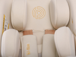 Прогулочная коляска Peppy Amici с автокреслом Verona Beige Beige рама Gold