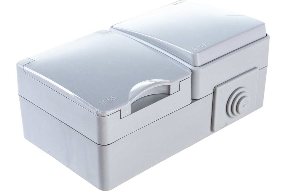 Блок розетка+выкл. гориз. IP65, 16A(10AX)-250В, серый Эксперт ЭРА