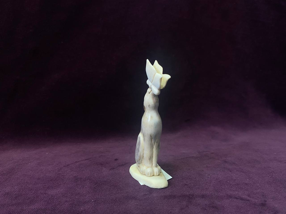Кот с бабочкой