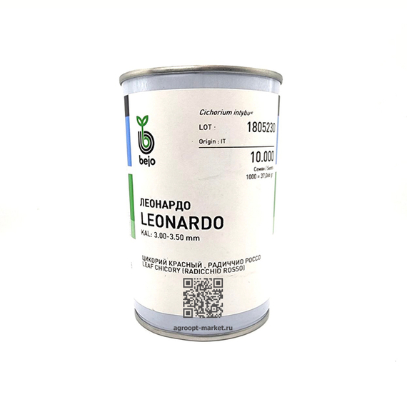Леонардо F1 семена цикория (Bejo / Бейо) – фото 4