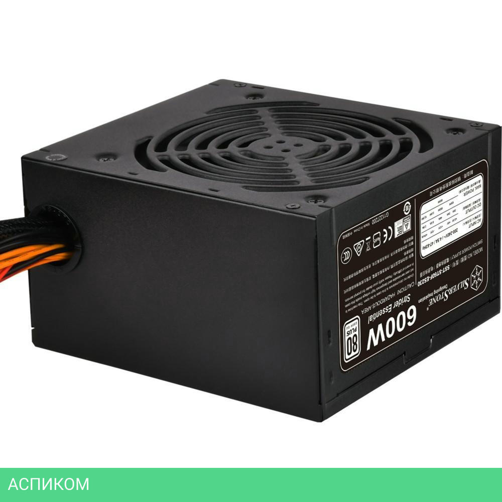 Блок питания SilverStone ST60F-ES230 600W (SST-ST60F-ES230)