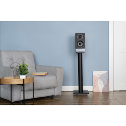 Полочная акустика Radiotehnika S-20N Walnut