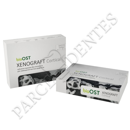 XENOGRAFT Cortical