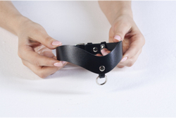 Лунный свет Ошейник премиум с кольцом