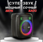 Колонка 08" (20-68 DANCE BOX) динамик 1шт/8" ELTRONIC с TWS