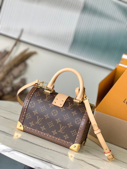 Louis Vuitton Speedy Trunk 20