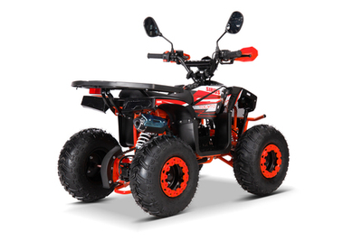 Квадроцикл YACOTA SIRIUS 110