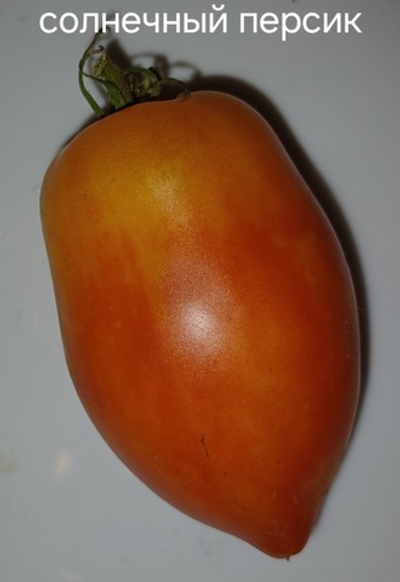 ГНОМ СОЛНЕЧНЫЙ ПЕРСИК