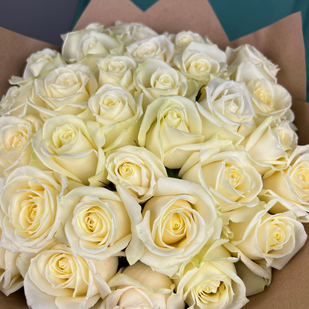 Букет из 35 белых роз. Букет 7379