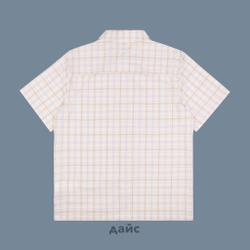Рубашка мужская Dickies Surry Shirt
