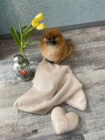 8303 MD Невероятно мягкий плед PREMIUM кремово-бежевый, мягкий МЕХ "Furry Heart Blanket" 50х70 см