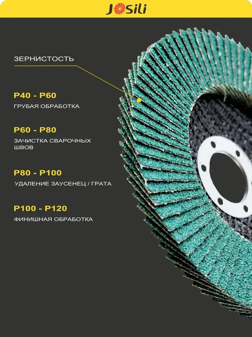 Круг лепестковый торцевой 125 мм Р60 ЦИРКОНИЕВЫЙ PROFI набор 10 шт