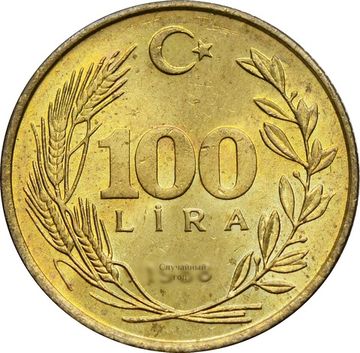 100 лир 1988-1996 Турция