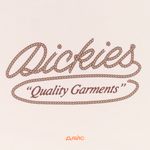  Футболка мужская Dickies Rope артикул:DK0A4Z8QF901 - купить в магазине Дайс
