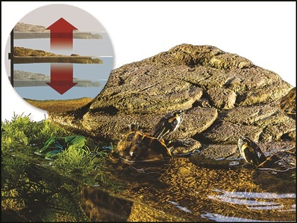 Черепаший берег Turtle Bank маленький