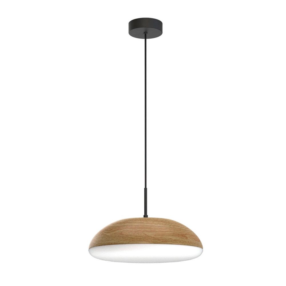 8139 Подвесной светильник KAZZ