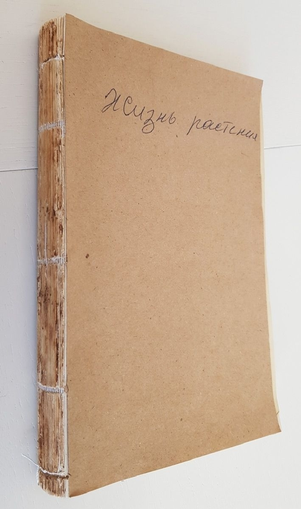 "Жизнь растения". К.А.Тимирязев. 1914г. - антикварная книга