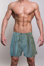 Зеленые клетчатые трусы-шорты (Размер: XXXL) (Цвет: зеленый)