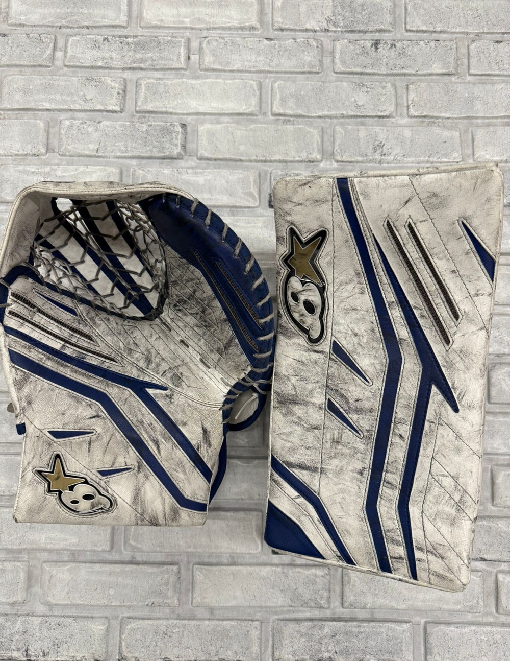 Brians ginetik x5 INT