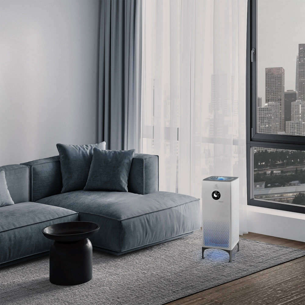 Очиститель воздуха Electrolux EAP-2075D