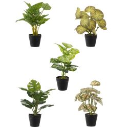 GAEM Цветочная композиция, L25 W25 H30 см, 5в.