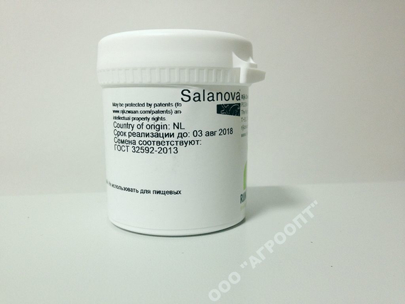 ЭКСПИРИЕНС семена салата (Rijk Zwaan | Alexagro) – фото 9