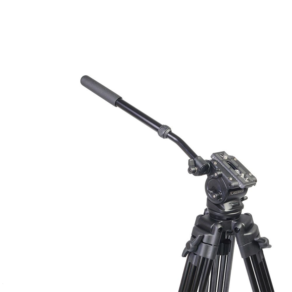 GreenBean VideoMaster 306