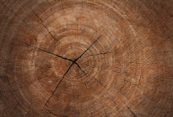 Коллекция Текстуры и фактуры